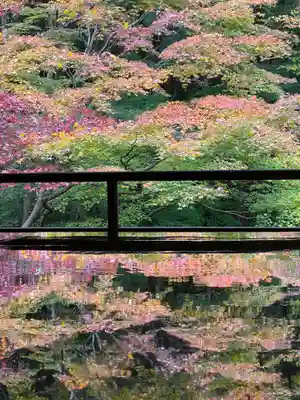 光明寺瑠璃光院(京都府)