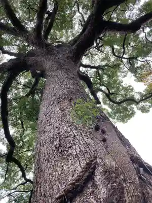 大市八幡神社(兵庫県)