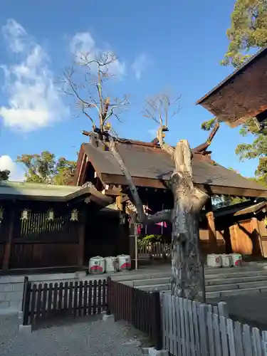 和泉國一之宮　大鳥大社(大阪府)