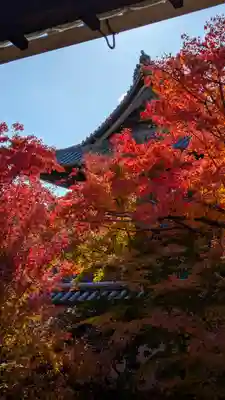 興聖寺(京都府)