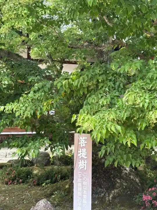 百済寺(滋賀県)