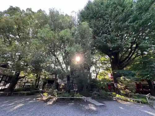 秩父神社(埼玉県)