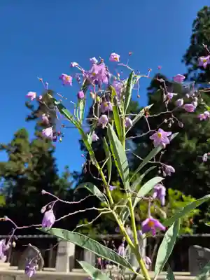沙沙貴神社(滋賀県)