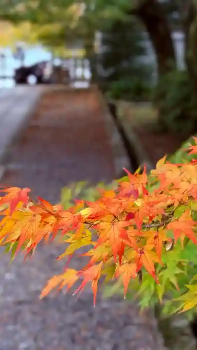 養源院(京都府)