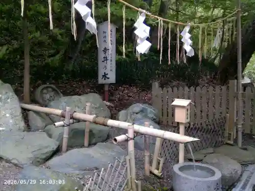 千歳神社の{uncategorized: "未分類", other: "その他", undefined: "問題あり", building: "その他建物", grave: "お墓", sacred_gate: "鳥居", guardian: "狛犬", statue: "像", buddha: "仏像", history: "歴史", nature: "自然", garden: "庭園", animal: "動物", pagoda: "塔", temizu: "手水舎", mountain_gate: "山門・神門", sanctuary: "本殿・本堂", subordinate: "末社・摂社", art: "芸術", scenery: "景色", jizo: "地蔵", ema: "絵馬", goshuin: "御朱印", omikuji: "おみくじ", items: "授与品その他", amulet: "お守り", goshuincho: "御朱印帳", eats: "食事", festival: "お祭り", votive_dance: "神楽", shichigosan: "七五三参", wedding: "結婚式", experience: "体験その他", initially: "初詣", around: "周辺", anti_infection: "感染症対策"}