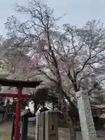 野宮神社(埼玉県)