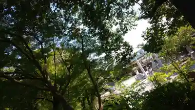 出雲大神宮のその他建物