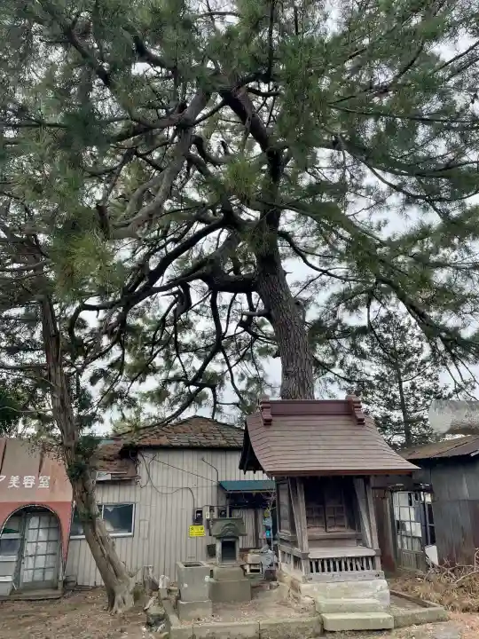 第六天神社の{uncategorized: "未分類", other: "その他", undefined: "問題あり", building: "その他建物", grave: "お墓", sacred_gate: "鳥居", guardian: "狛犬", statue: "像", buddha: "仏像", history: "歴史", nature: "自然", garden: "庭園", animal: "動物", pagoda: "塔", temizu: "手水舎", mountain_gate: "山門・神門", sanctuary: "本殿・本堂", subordinate: "末社・摂社", art: "芸術", scenery: "景色", jizo: "地蔵", ema: "絵馬", goshuin: "御朱印", omikuji: "おみくじ", items: "授与品その他", amulet: "お守り", goshuincho: "御朱印帳", eats: "食事", festival: "お祭り", votive_dance: "神楽", shichigosan: "七五三参", wedding: "結婚式", experience: "体験その他", initially: "初詣", around: "周辺", anti_infection: "感染症対策"}