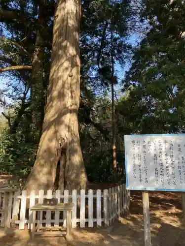 鎌数伊勢大神宮の{uncategorized: "未分類", other: "その他", undefined: "問題あり", building: "その他建物", grave: "お墓", sacred_gate: "鳥居", guardian: "狛犬", statue: "像", buddha: "仏像", history: "歴史", nature: "自然", garden: "庭園", animal: "動物", pagoda: "塔", temizu: "手水舎", mountain_gate: "山門・神門", sanctuary: "本殿・本堂", subordinate: "末社・摂社", art: "芸術", scenery: "景色", jizo: "地蔵", ema: "絵馬", goshuin: "御朱印", omikuji: "おみくじ", items: "授与品その他", amulet: "お守り", goshuincho: "御朱印帳", eats: "食事", festival: "お祭り", votive_dance: "神楽", shichigosan: "七五三参", wedding: "結婚式", experience: "体験その他", initially: "初詣", around: "周辺", anti_infection: "感染症対策"}