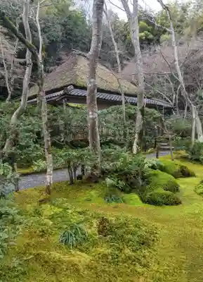 祇王寺(京都府)