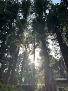 大宮温泉神社(栃木県)(2023年05月26日(金) 10時22分12秒投稿)