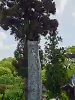 太宰府天満宮(福岡県)