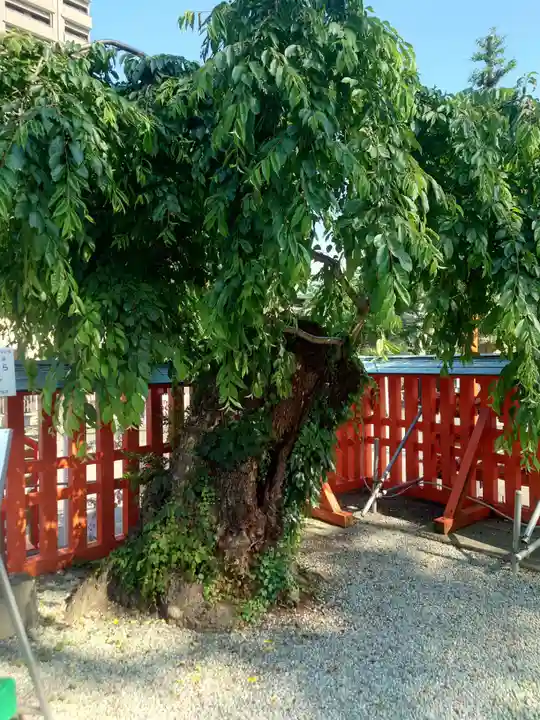 榴岡天満宮(宮城県)