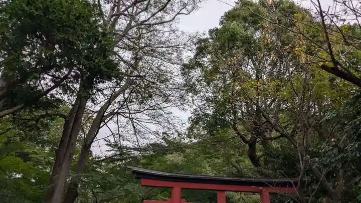 丸山稲荷社(鶴岡八幡宮)の自然