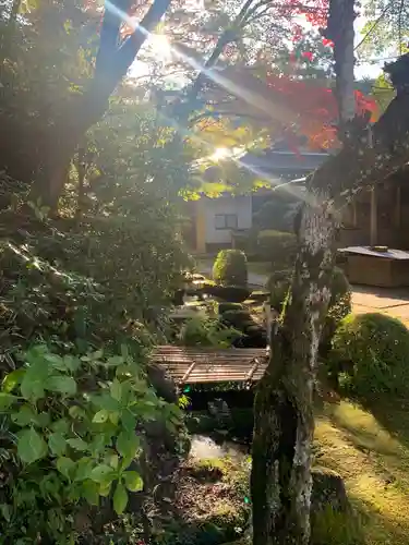 楠妣庵観音寺(大阪府)