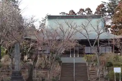 本土寺の本殿・本堂