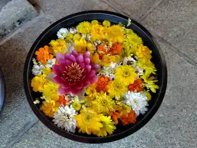 北海道護國神社の手水舎