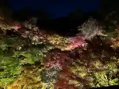 東福禅寺（東福寺）(京都府)