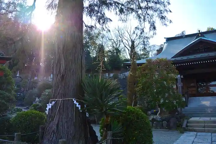 金剛寺(神奈川県)