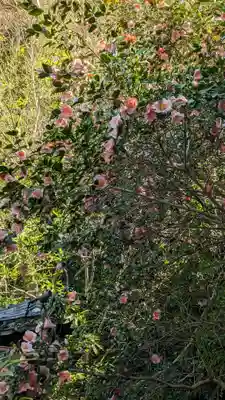 大豊神社(京都府)
