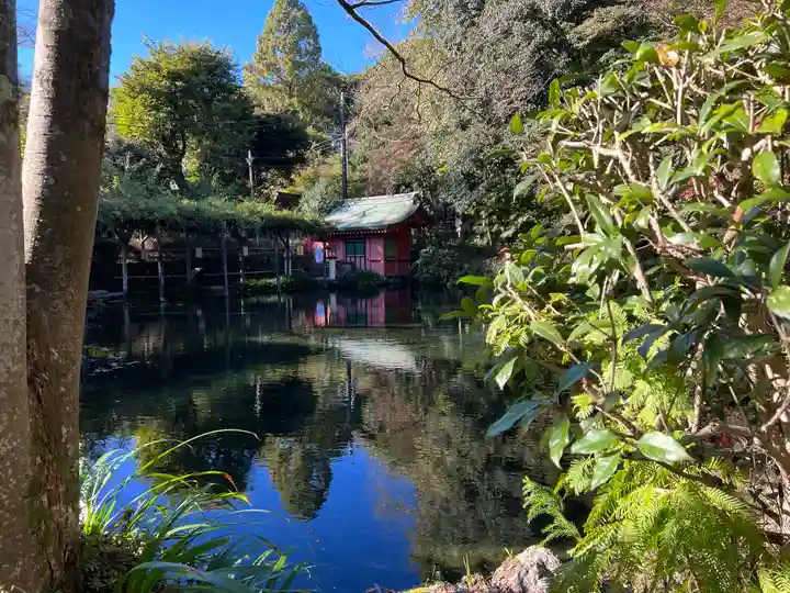 富士山本宮浅間大社(静岡県)