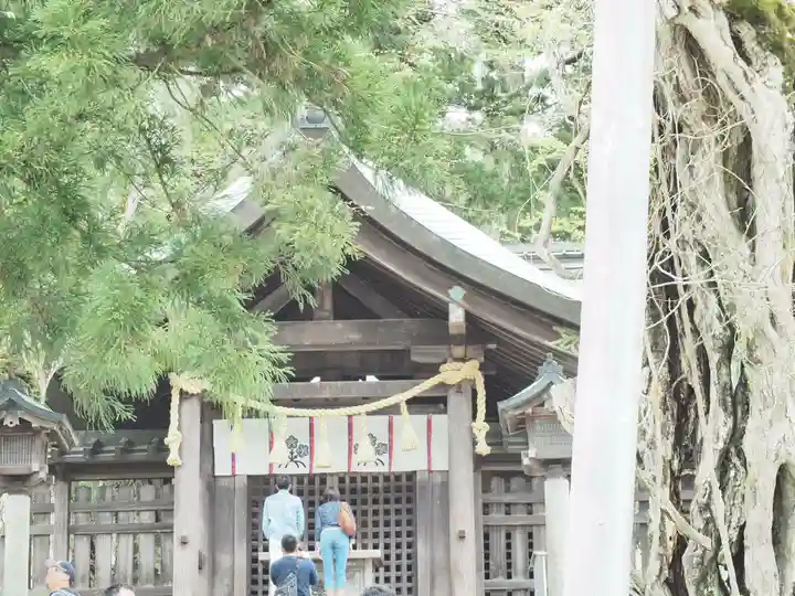 諏訪大社上社前宮の本殿・本堂