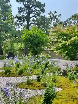 廬山寺（廬山天台講寺）(京都府)