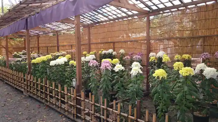 靖國神社の自然