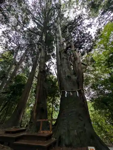 白山比咩神社の{uncategorized: "未分類", other: "その他", undefined: "問題あり", building: "その他建物", grave: "お墓", sacred_gate: "鳥居", guardian: "狛犬", statue: "像", buddha: "仏像", history: "歴史", nature: "自然", garden: "庭園", animal: "動物", pagoda: "塔", temizu: "手水舎", mountain_gate: "山門・神門", sanctuary: "本殿・本堂", subordinate: "末社・摂社", art: "芸術", scenery: "景色", jizo: "地蔵", ema: "絵馬", goshuin: "御朱印", omikuji: "おみくじ", items: "授与品その他", amulet: "お守り", goshuincho: "御朱印帳", eats: "食事", festival: "お祭り", votive_dance: "神楽", shichigosan: "七五三参", wedding: "結婚式", experience: "体験その他", initially: "初詣", around: "周辺", anti_infection: "感染症対策"}