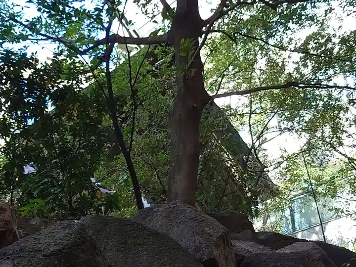 白神社(広島県)