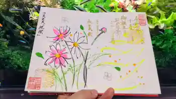 玉鉾神社の御朱印 2025年10月