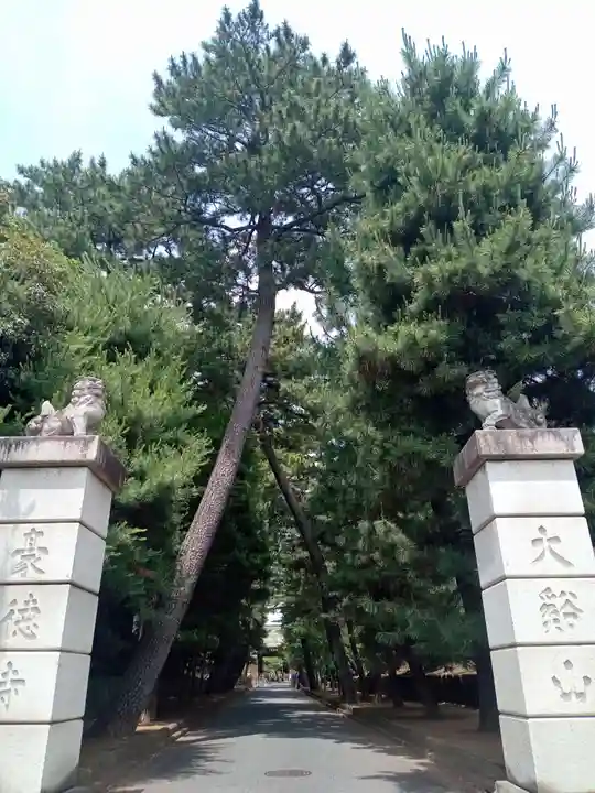 豪徳寺(東京都)