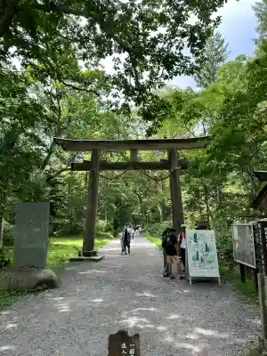 戸隠神社九頭龍社(長野県)