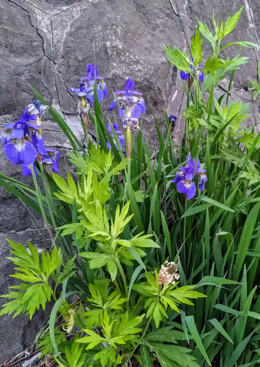 龍宮神社(北海道)