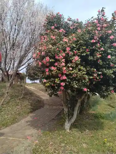 白九頭龍古墳(宮城県)