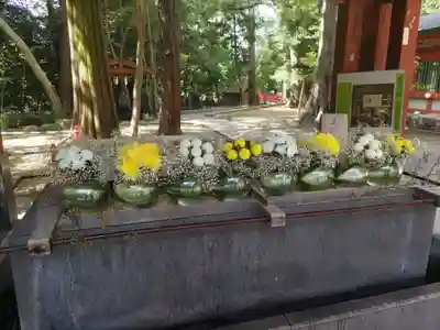 武蔵一宮氷川神社の手水舎
