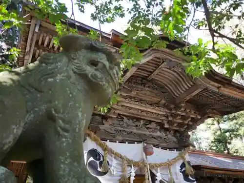 矢彦神社の狛犬