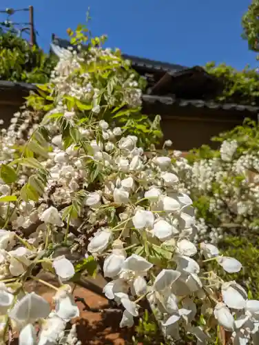 長慶院(京都府)