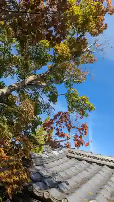 正法寺(京都府)