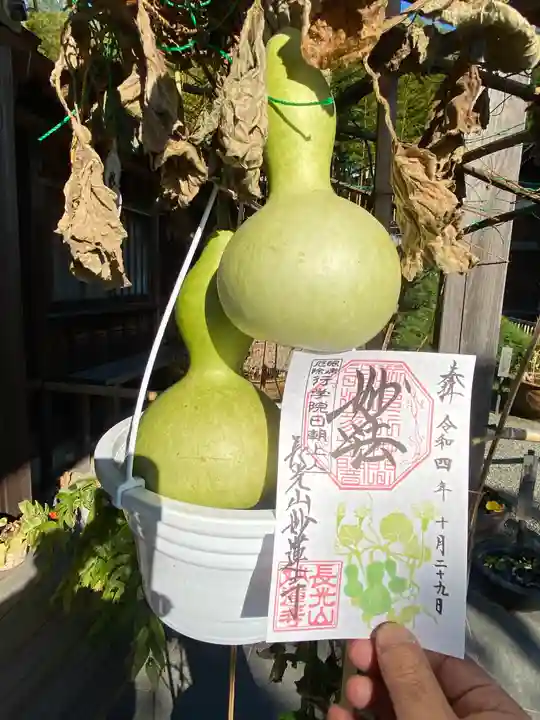 妙蓮寺の御朱印