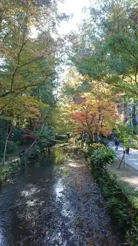 小國神社の自然