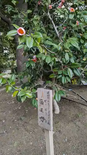 城南宮(京都府)