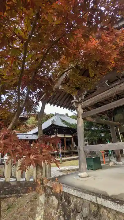 犬山寂光院の自然