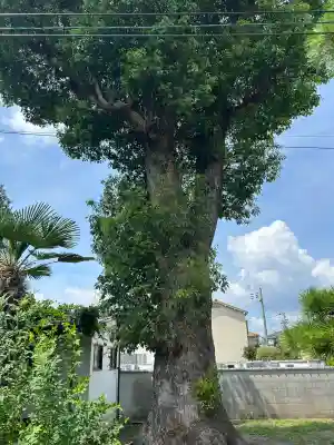 常福寺(大阪府)