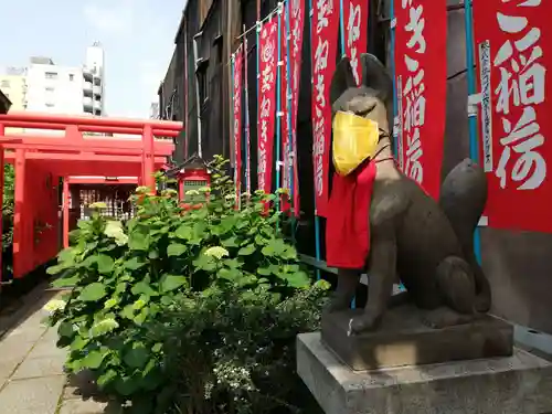 富士浅間神社の狛犬