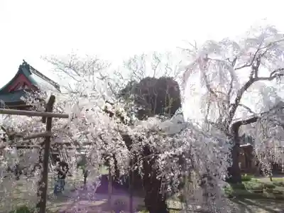 慶龍寺(茨城県)