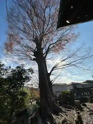 春日神社(東京都)