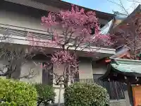 生田神社の{uncategorized: "未分類", other: "その他", undefined: "問題あり", building: "その他建物", grave: "お墓", sacred_gate: "鳥居", guardian: "狛犬", statue: "像", buddha: "仏像", history: "歴史", nature: "自然", garden: "庭園", animal: "動物", pagoda: "塔", temizu: "手水舎", mountain_gate: "山門・神門", sanctuary: "本殿・本堂", subordinate: "末社・摂社", art: "芸術", scenery: "景色", jizo: "地蔵", ema: "絵馬", goshuin: "御朱印", omikuji: "おみくじ", items: "授与品その他", amulet: "お守り", goshuincho: "御朱印帳", eats: "食事", festival: "お祭り", votive_dance: "神楽", shichigosan: "七五三参", wedding: "結婚式", experience: "体験その他", initially: "初詣", around: "周辺", anti_infection: "感染症対策"}