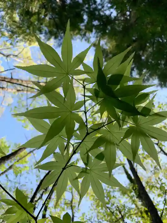 滑川神社 - 仕事と子どもの守り神(福島県)
