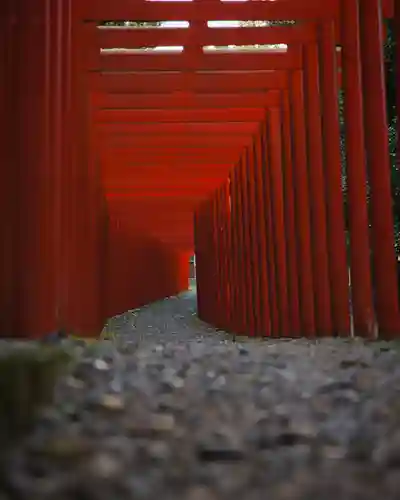 南宮稲荷大明神(岐阜県)